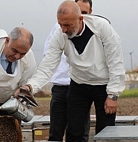Elazığ'da coğrafi işaretli geven balı üretimi yerinde incelendi