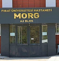 Elazığ'da çöp arabasının çarptığı belediye işçisi hayatını kaybetti