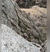 Elazığ'da dağ keçileri görüntülendi