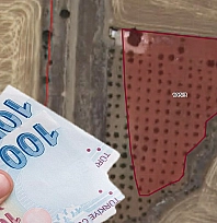 Elazığ'da dev tarla ihaleye çıktı! Sulu bahçe vasıflı arazi 31 Aralık'ta ihaleye çıkıyor… Ceviz ağaçları var