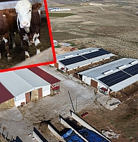 Elazığ'da devlet desteğiyle hayaller gerçeğe dönüştü