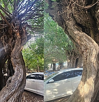 Elazığ'da doğal miras