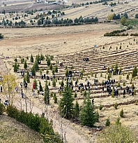Elazığ'da Doğu Türkistan ve Filistin için anlamlı fidan dikimi