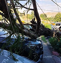 Elazığ'da fırtına dehşeti: 2 Araç hasar gördü
