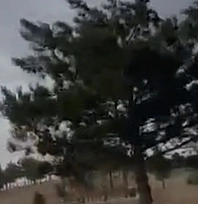 Elazığ'da fırtına paniği: Kampçının zor anları kamerada
