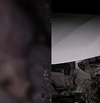Elazığ'da gece yarısı domuz sürüsü faciası