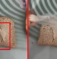 Elazığ'da gıda skandalı: Ekmeğin içindeki poşet şaşırttı