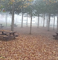 Elazığ'da göz gözü görmedi!