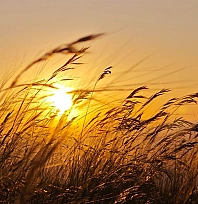 Elazığ'da hava bugün nasıl olacak? (07.08.2026)