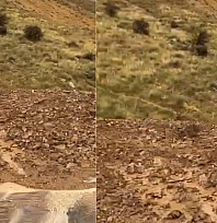 Elazığ'da heyelan paniği