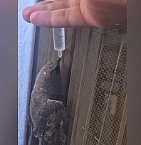 Elazığ'da iç ısıtan görüntü