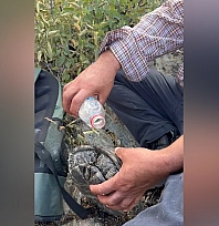 Elazığ'da iç ısıtan görüntü