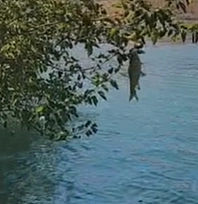 Elazığ'da ilginç anlar