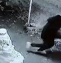 Elazığ'da ilginç hırsızlık: Kardan adamın kafasını alıp kaçtı