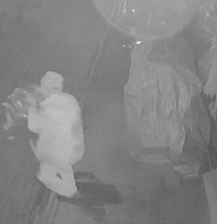 Elazığ'da ilginç hırsızlık! Poşete sığmayınca elinde taşıdı