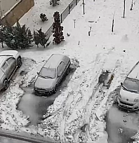 Elazığ'da kar geri döndü: Yağış aralıklarla sürüyor