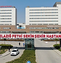 Elazığ'da kar ve buz tehlikesi: 25 günde 645 yaralı