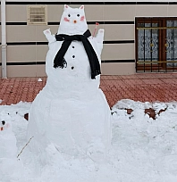 Elazığ'da kardan adam mesaisi başladı