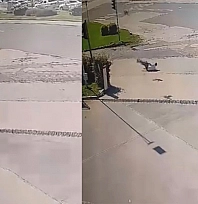 Elazığ'da Kargadan kaçarken taklalar attı