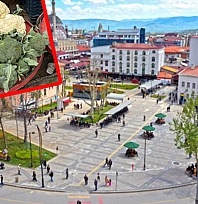 Elazığ'da karnabahar ve brokoliye talep artıyor