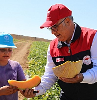 Elazığ'da kavun hasadı başladı! 8 bin dekarda 19 bin ton rekolte bekleniyor