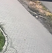 Elazığ'da kayıp çocuğun son görüntüleri güvenlik kamerasına yansıdı