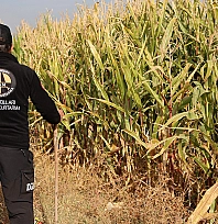 Elazığ'da kayıp otizmli çocuğun ailesi endişeli