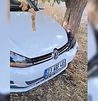 Elazığ'da kaza: 2 Yaralı