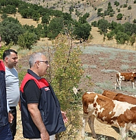 Elazığ'da kırsalda bereket projesi üreticilere destek oluyor