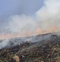 Elazığ'da korkutan yangın: Facia son anda önlendi