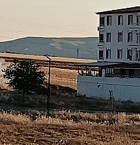 Elazığ'da korkutan yangın!
