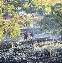 Elazığ'da korkutan yangın!