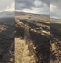 Elazığ'da korkutan yangın