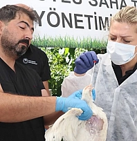 Elazığ'da Kuş Gribine karşı gerçek boyutlu saha tatbikatı