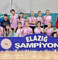 Elazığ'da  NFK  Anadolu Lisesi kız öğrencilerinden büyük başarı!