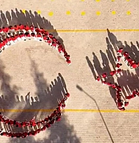 Elazığ'da öğrencilerden gururlandıran Ay Yıldız koreografisi