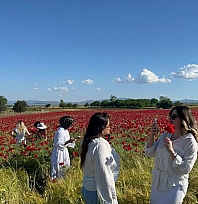 Elazığ'da oluşan doğal gelincik tarlasına vatandaşlar akın etti