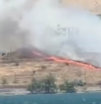 Elazığ'da orman yangını