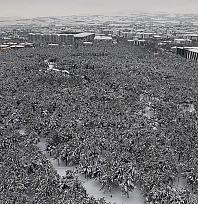 Elazığ'da şehir merkezinde kış manzarası