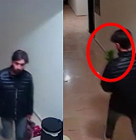 Elazığ'da sıradışı hırsızlık: Çiçek çaldı