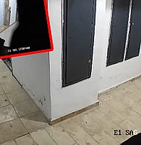 Elazığ'da sitede korku dolu anlar: Kameraları parçaladı