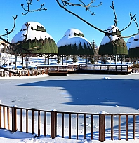 Elazığ'da soğuk hava süs havuzlarını dondurdu