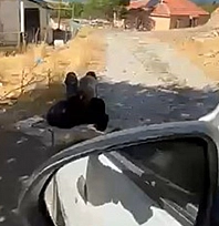 Elazığ'da şok görüntü: Yaşlı adam ağaca zincirlenmiş halde bulundu