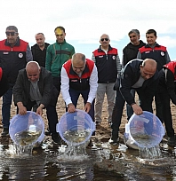 Elazığ'da su kaynakları canlanıyor: Kalecik Barajı'na 11 bin 800 sazan yavrusu bırakıldı