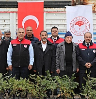 Elazığ'da sumak üretimi artıyor