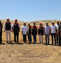 Elazığ'da TAKE desteğiyle mercimek üretimi artıyor