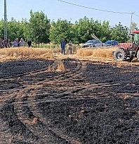 Elazığ'da tarla alevlere teslim oldu