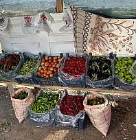 Elazığ'da tarladan sofraya uygun fiyatlı sebze