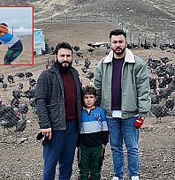 Elazığ'da koç fiyatına hindi