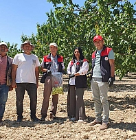 Elazığ'da üretim alanlarında pestisit takibi